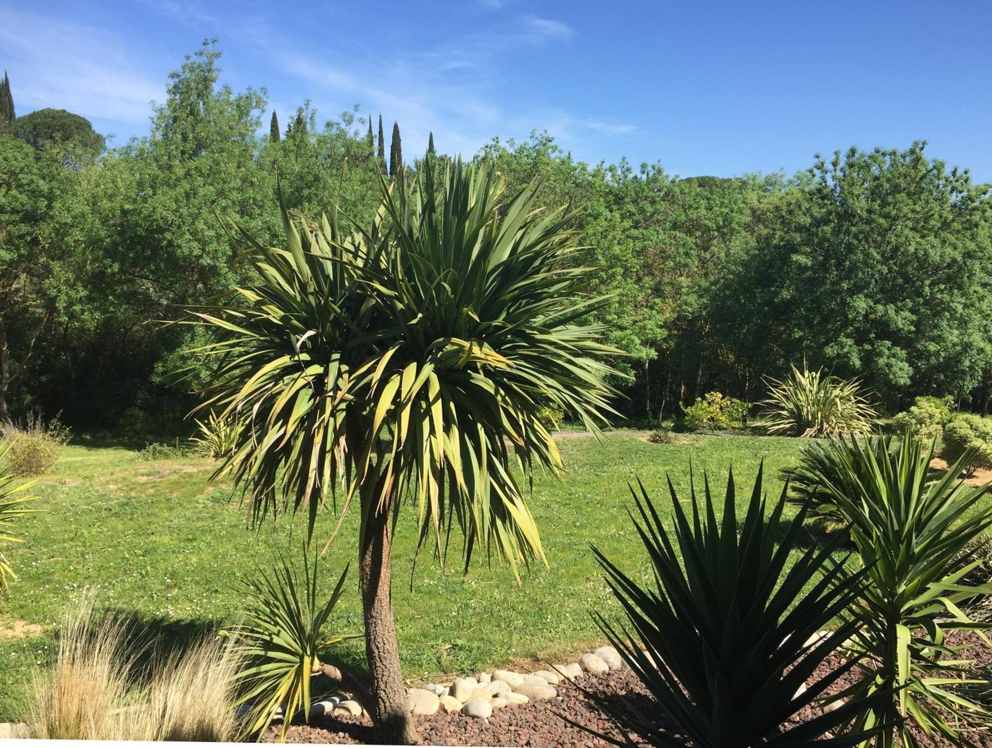 Bed and breakfast La Petite Du Carcasona